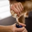 Cómo cortar las uñas de tu perro sin lastimarlo