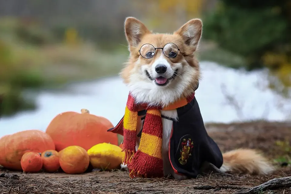 ¿Qué alimentos ayudan a mantener una hidratación constante?