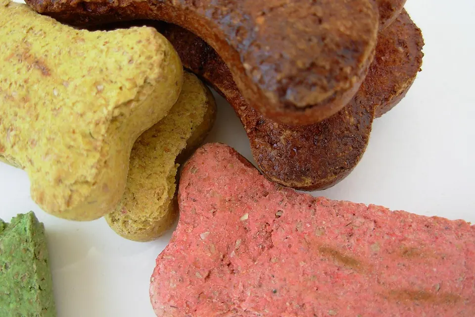 ¿Qué alimentos favorecen una piel menos grasa en perros?