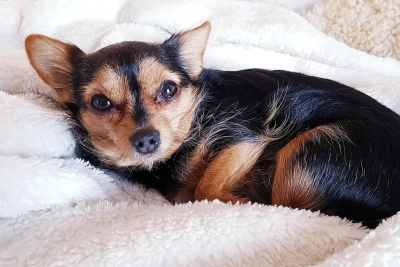 ¿Qué hábitos diarios reducen la caída estacional del pelo?